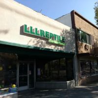 LLLReptile and Supply Escondido ico