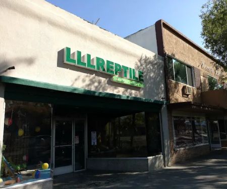 LLLReptile and Supply Escondido