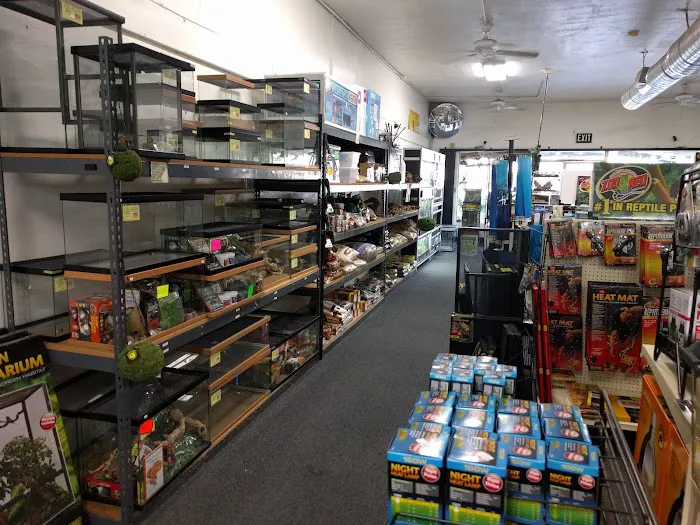 LLLReptile and Supply Escondido Picture 2