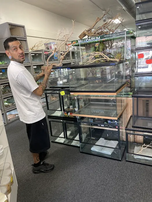 LLLReptile and Supply Escondido Picture 7
