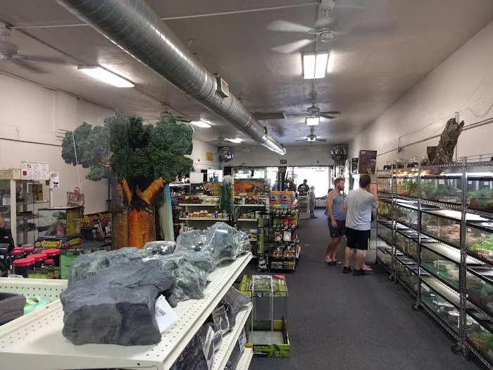 LLLReptile and Supply Escondido Picture 8
