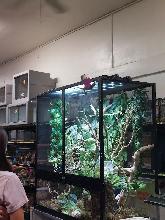 LLLReptile and Supply Escondido Picture 4