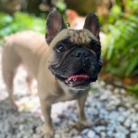 Greenpoint Veterinary Hospital ico