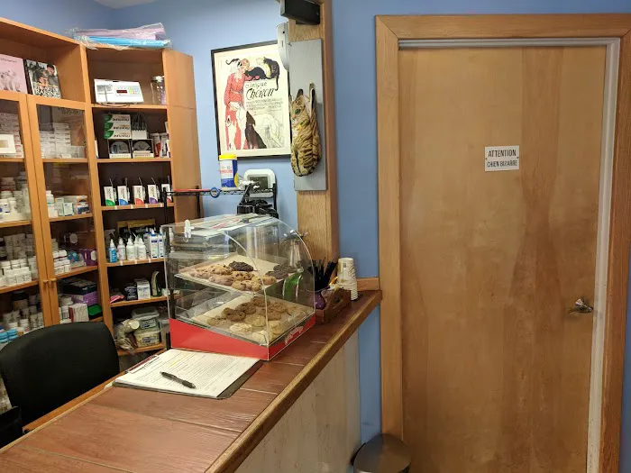 Greenpoint Veterinary Hospital Picture 6