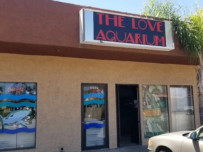 The Love Aquarium Picture 2