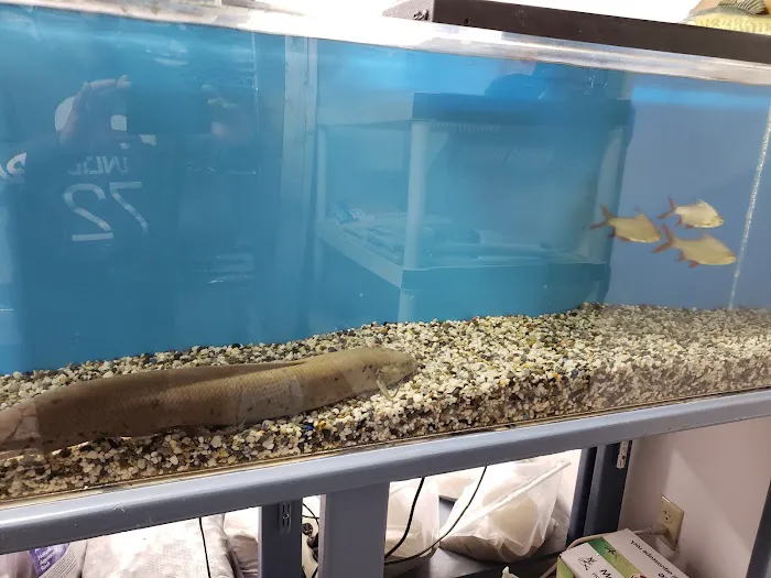 The Love Aquarium Picture 1