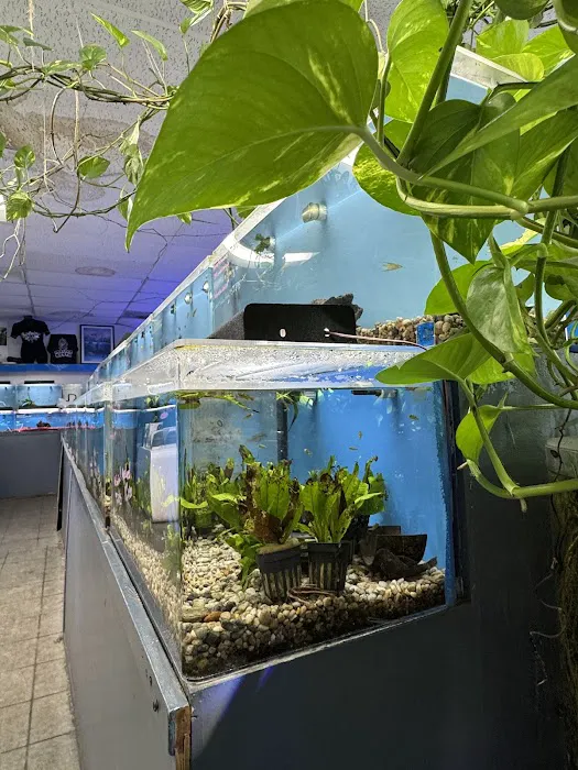 The Love Aquarium Picture 4