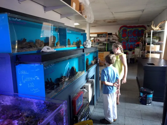 The Love Aquarium Picture 5