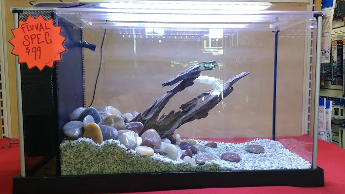 The Love Aquarium Picture 6