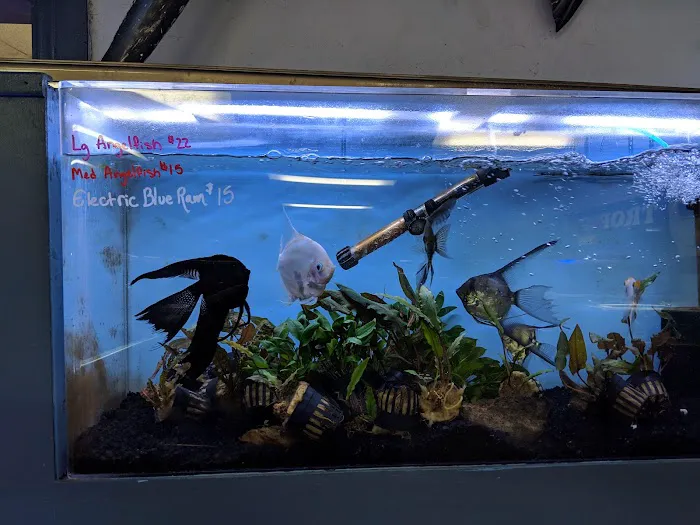 The Love Aquarium Picture 9