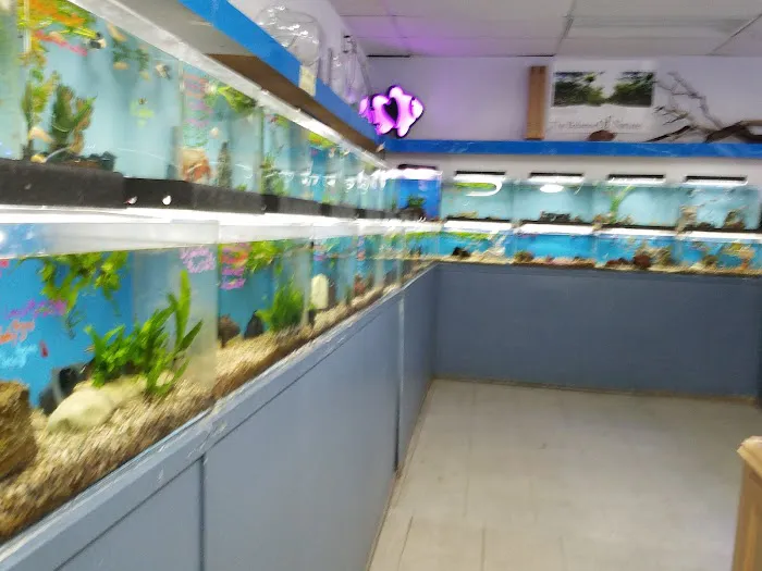 The Love Aquarium Picture 10