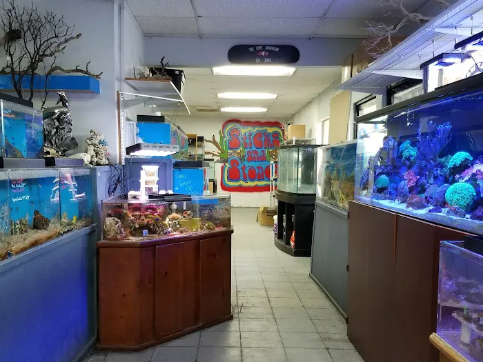 The Love Aquarium Picture 7