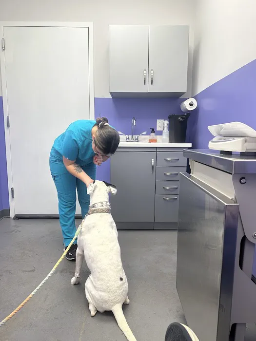 Greenpoint Veterinary Care Picture 3