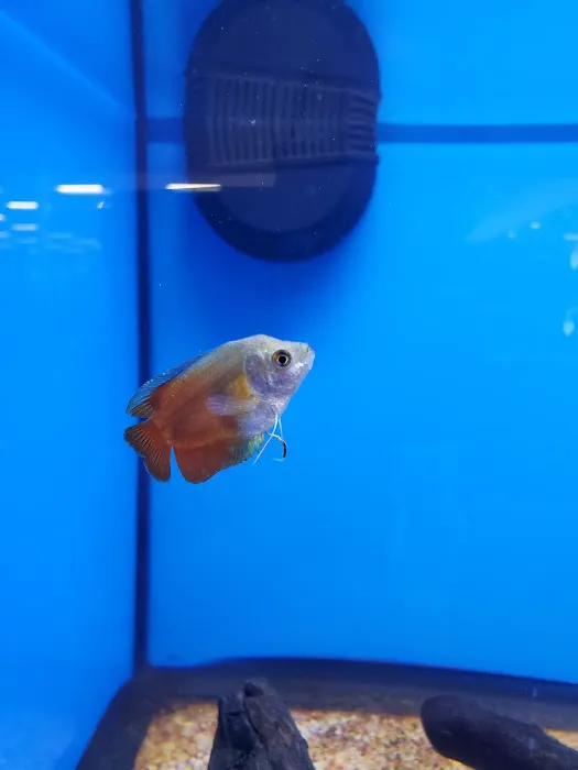 Petco Picture 2