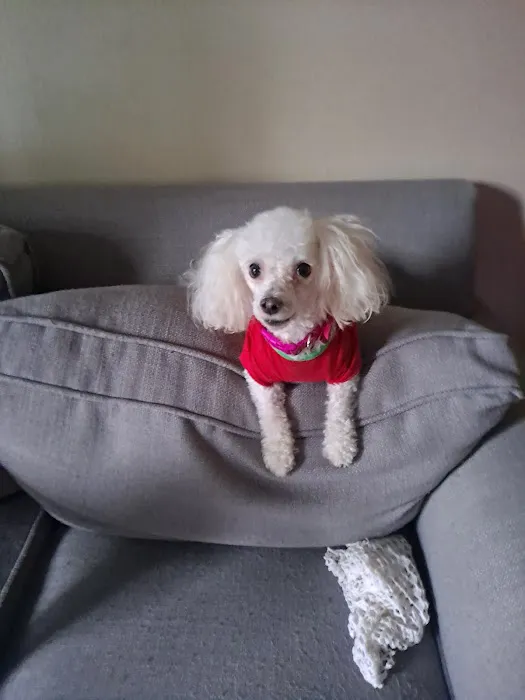 Petco Picture 4