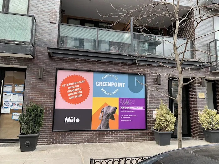Veterinary Care Group - Greenpoint Picture 9