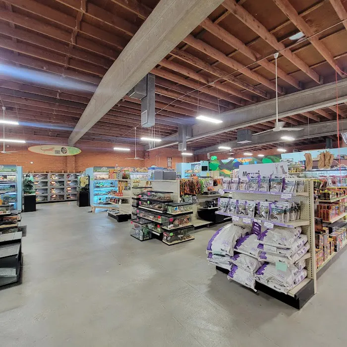 LLL Reptile & Supply Oceanside Picture 4