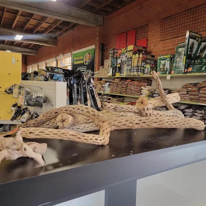 LLL Reptile & Supply Oceanside Picture 3