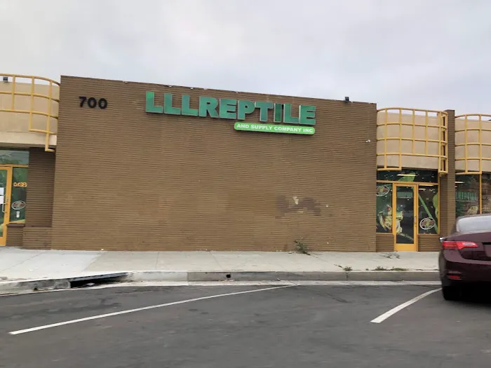 LLL Reptile & Supply Oceanside Picture 2