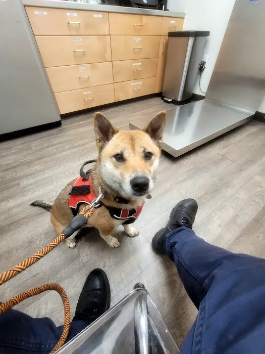 Williamsburg Animal Clinic Picture 1