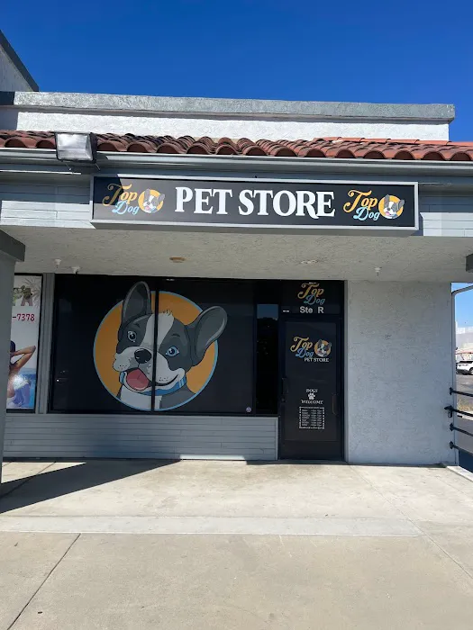Low Cost Vet Mobile Location Picture 3