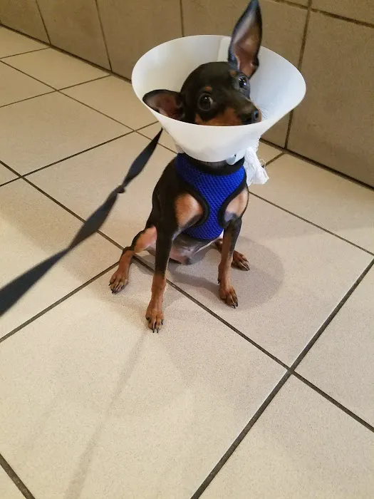 Animal Clinic of Queens Picture 2
