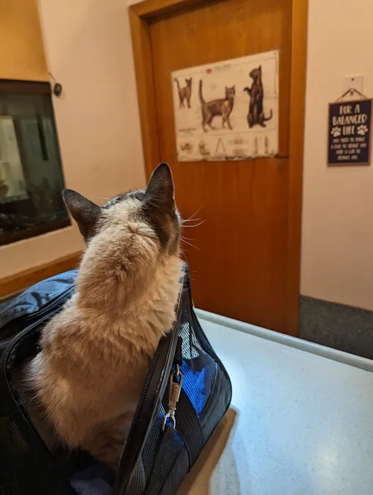 Animal Clinic of Queens Picture 8