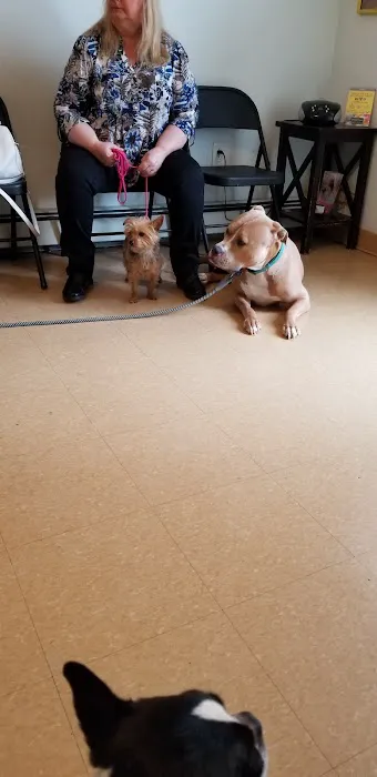 Ozone Park Animal Clinic Picture 5