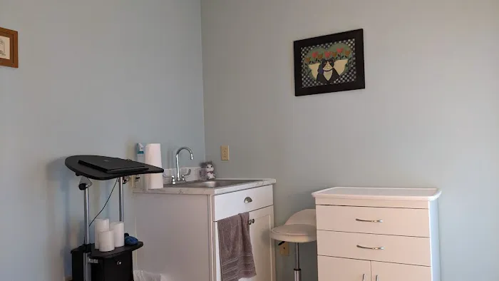 The Cat Doctor Picture 4