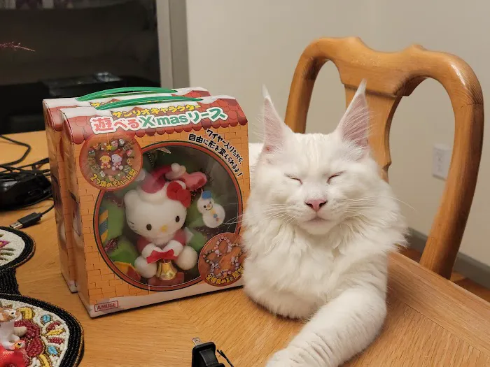 The Cat Doctor Picture 6