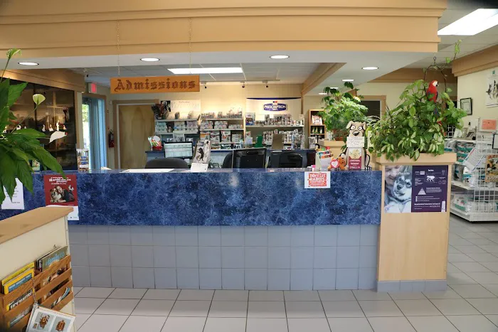 Endicott Animal Hospital Picture 2