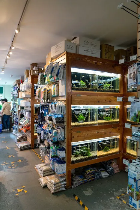 Aqua Forest Aquarium Picture 1