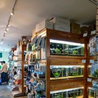 Aqua Forest Aquarium ico
