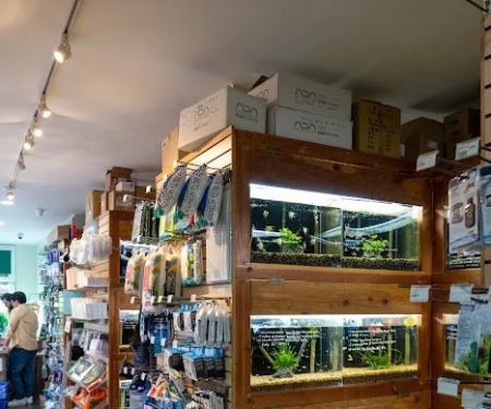 Aqua Forest Aquarium