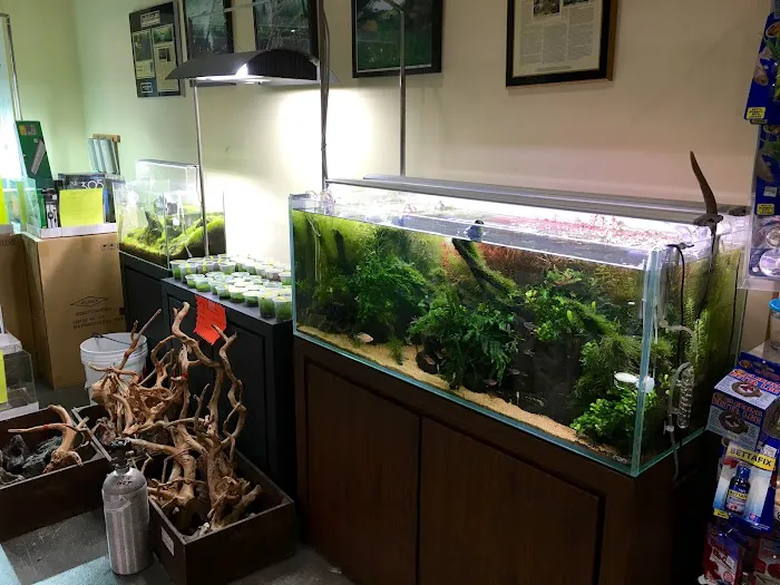 Aqua Forest Aquarium Picture 2