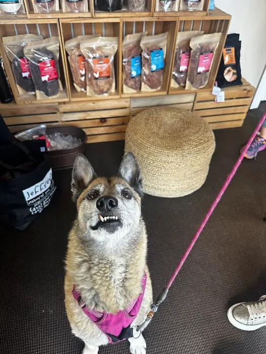 Jeffrey's Natural Pet Foods 16th Street Picture 2