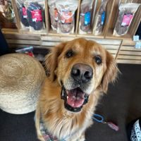 Jeffrey's Natural Pet Foods 16th Street ico