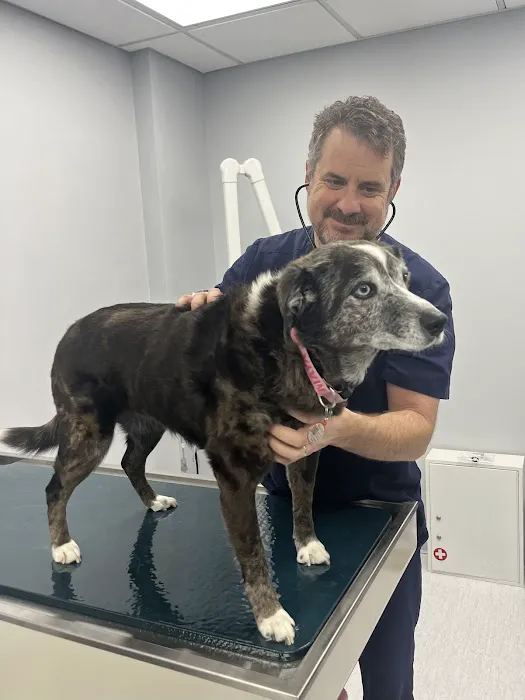 Nyack Neighborhood Veterinary Picture 1