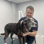 Nyack Neighborhood Veterinary