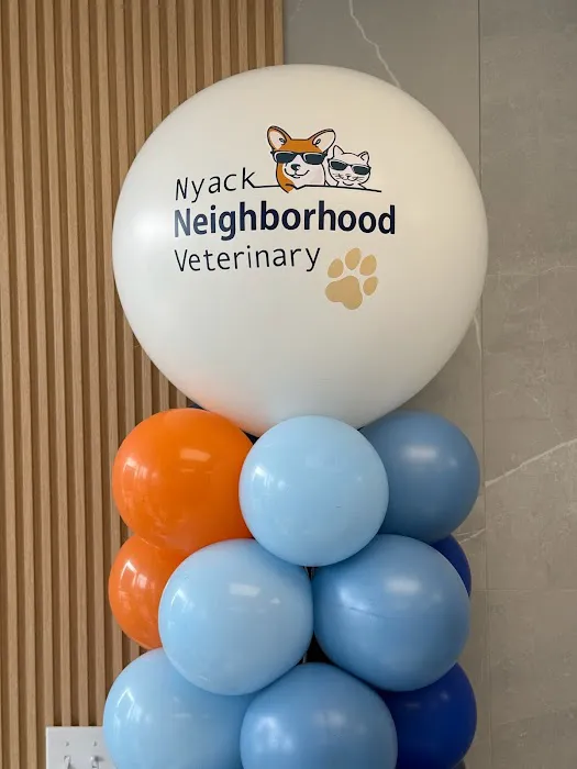 Nyack Neighborhood Veterinary Picture 5