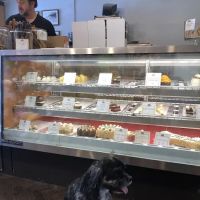 Le Marcel Bakery for Dogs ico