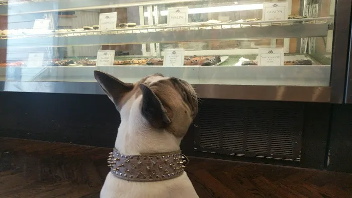Le Marcel Bakery for Dogs Picture 5