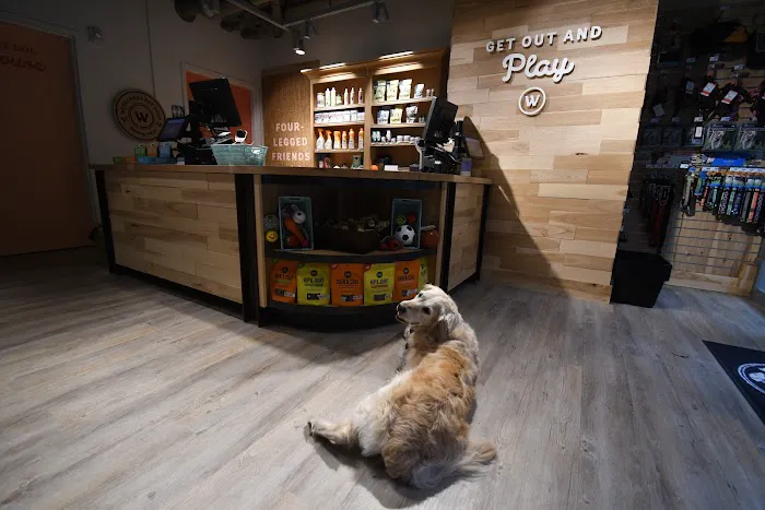 Woodlands Pet Shop Picture 4