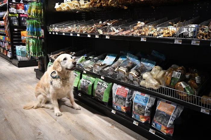 Woodlands Pet Shop Picture 5