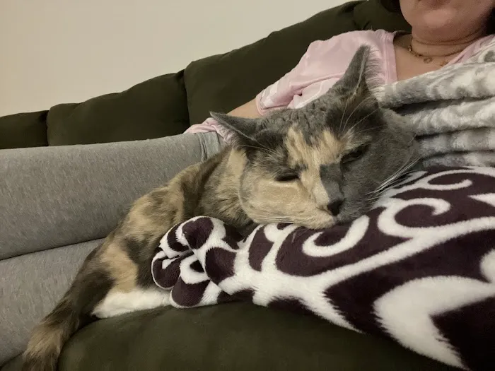 Animal Care of Closter Picture 2