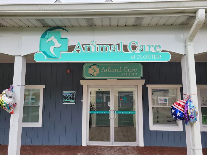 Animal Care of Closter Picture 4