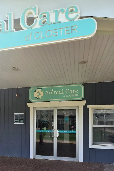 Animal Care of Closter Picture 5