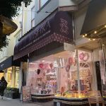Mishka Dog Boutique