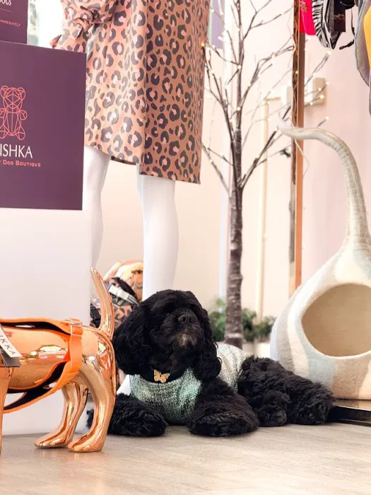 Mishka Dog Boutique Picture 5