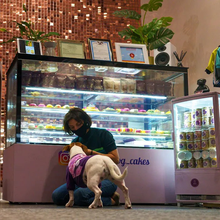 Mishka Dog Boutique Picture 6